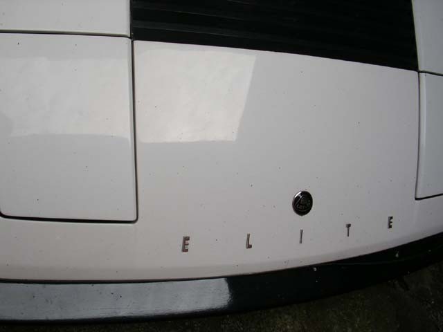 Rescued attachment lotus front.jpg